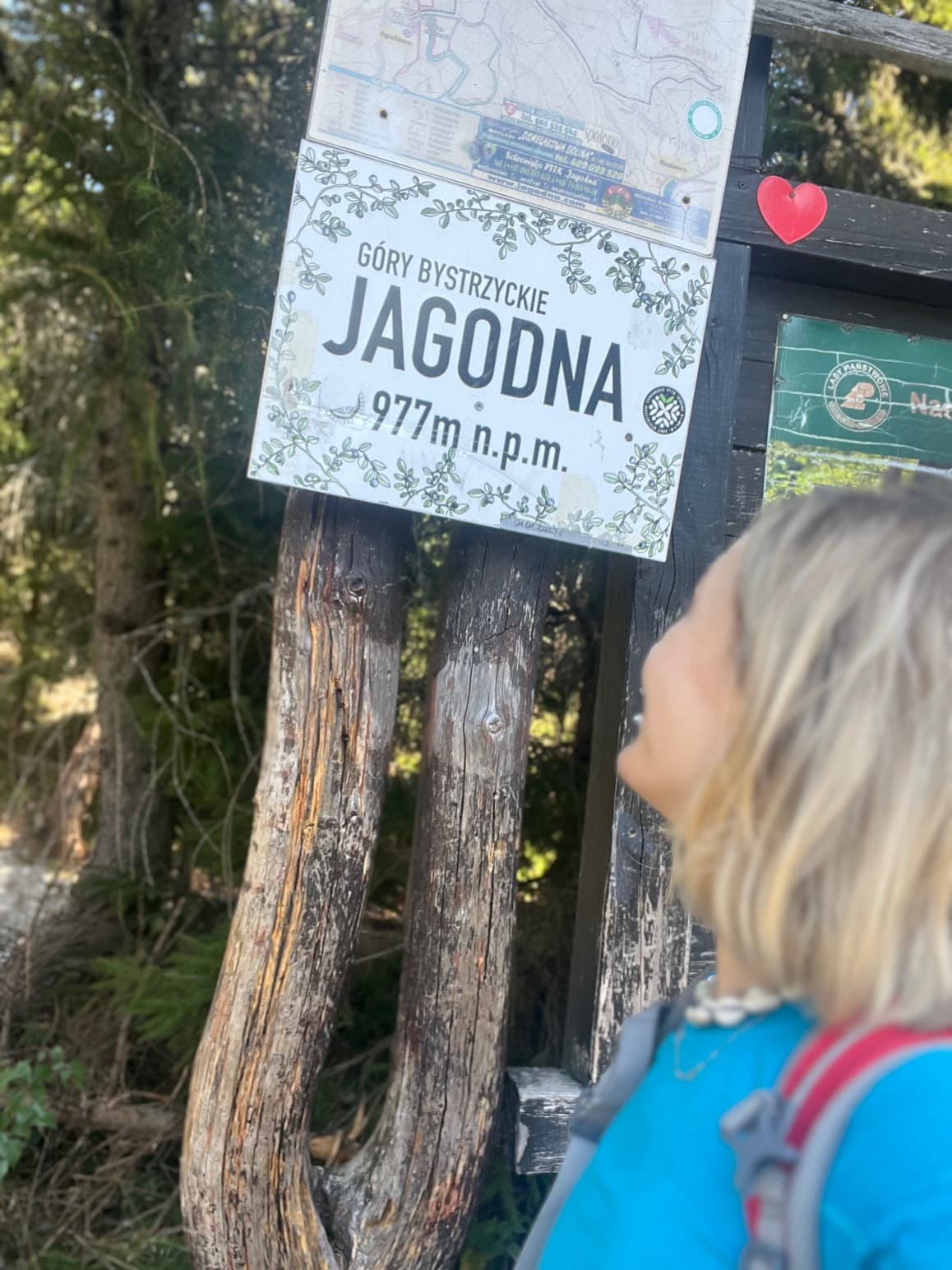 Tabliczka szczytowa Jagodnej (977 m) w Górach Bystrzyckich